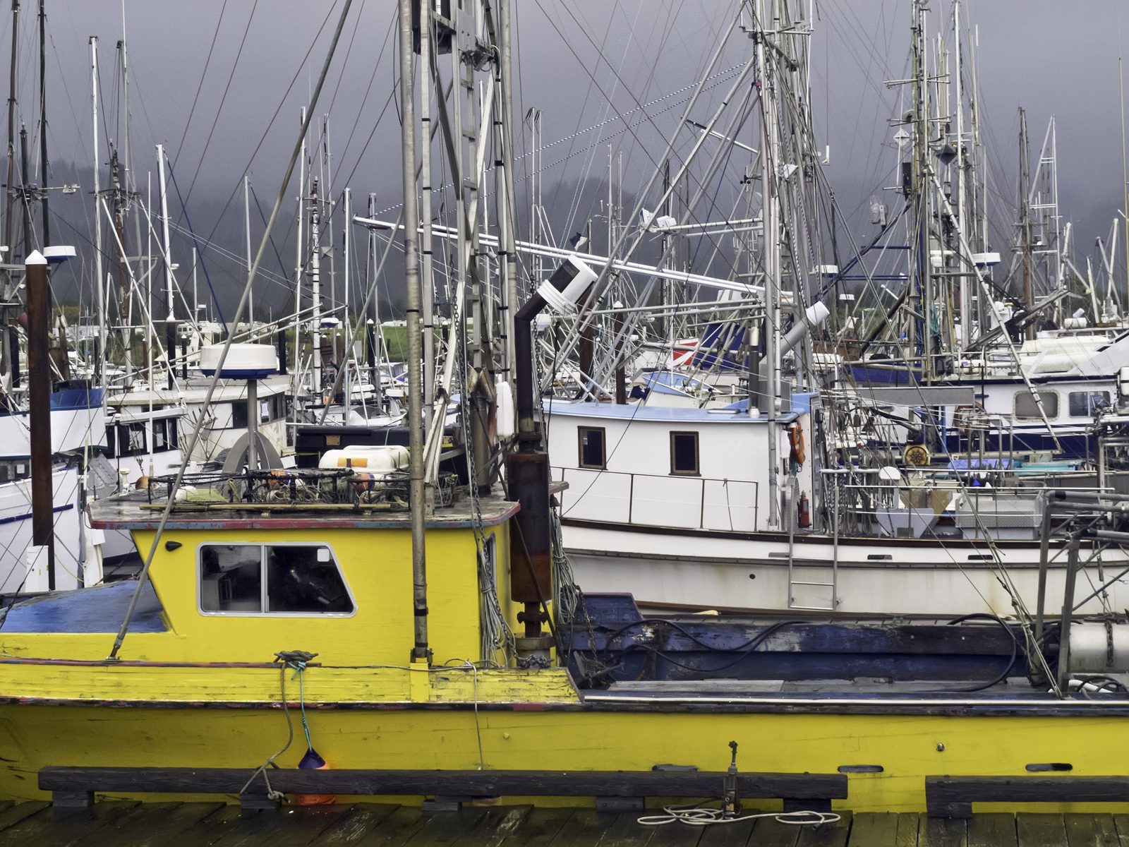 Commercial fishing boats with tall masts and rigging crowd a harbor under dark storm clouds, a yellow vessel moored in front.