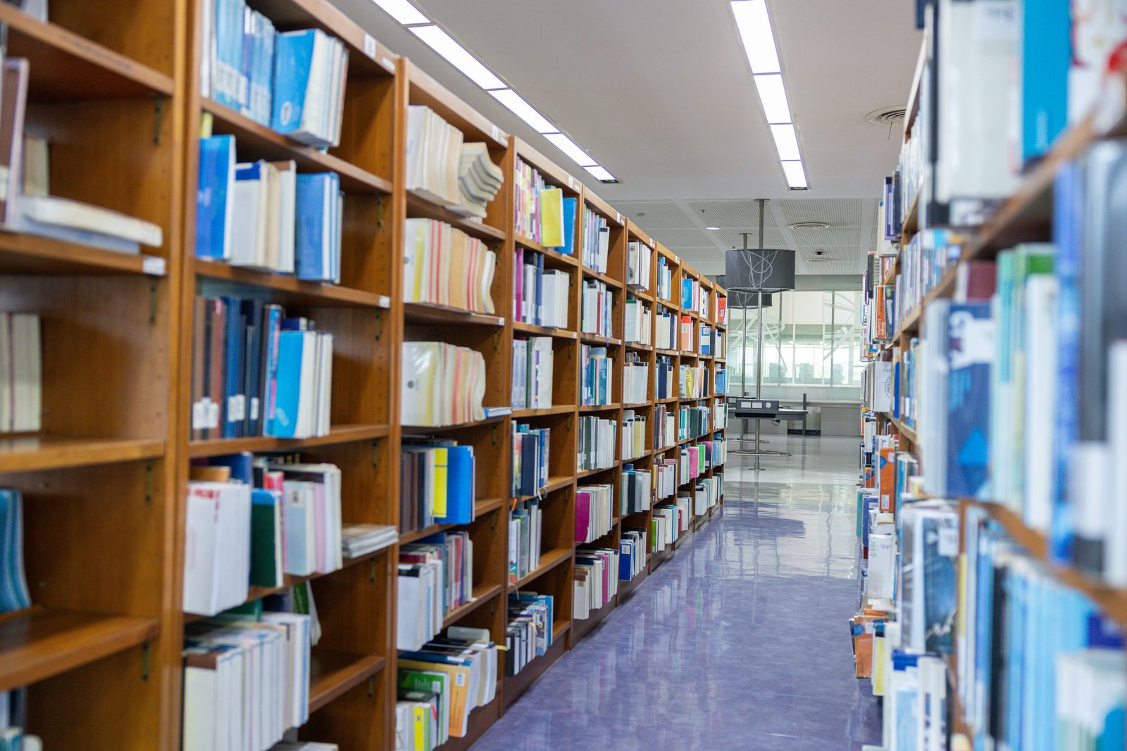 A long aisle between wooden library shelves filled with books, lit by rows of ceiling lights, with windows at the far end.