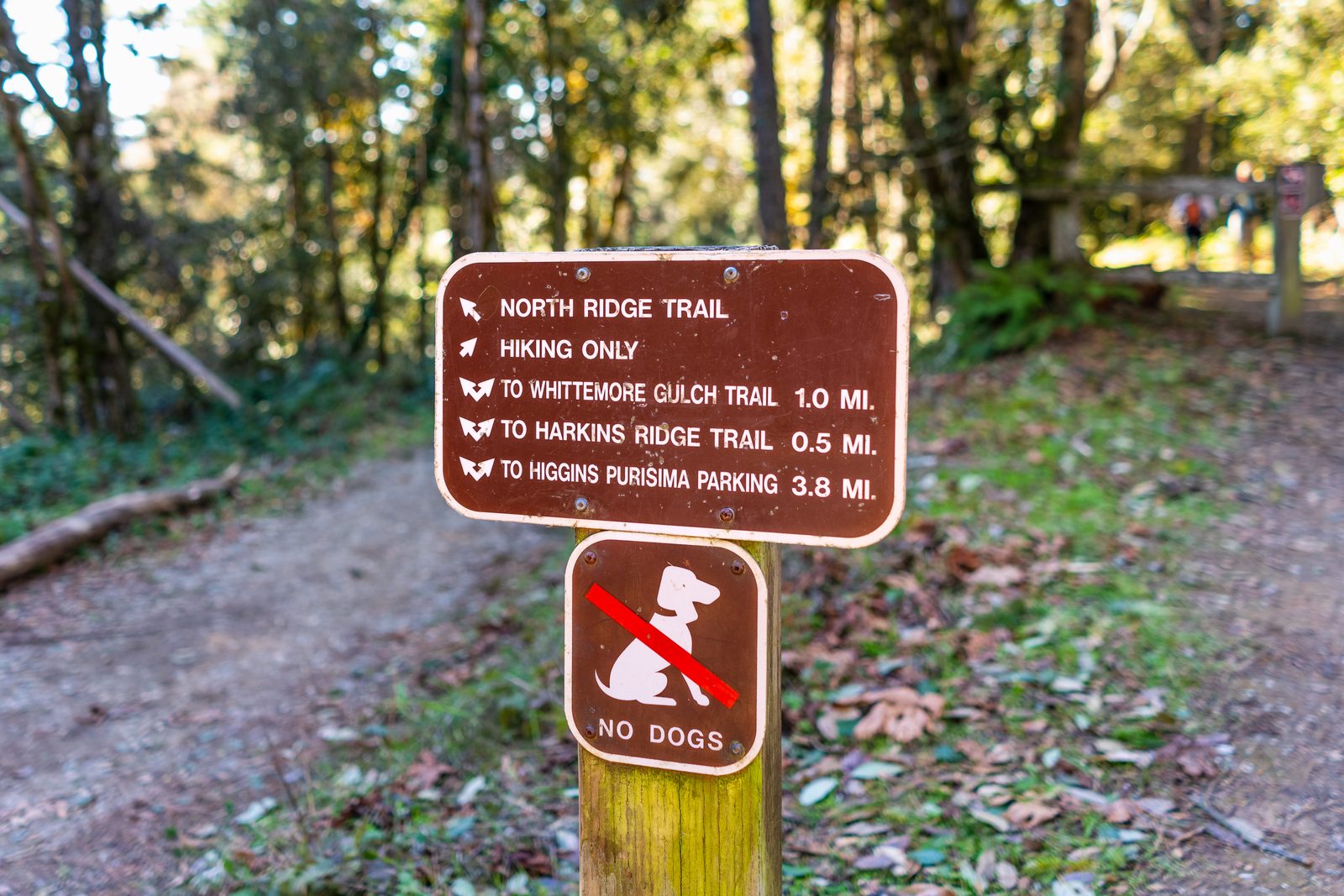 Brown trail junction sign lists distances to nearby trails and parking, with a smaller No Dogs sign mounted on the post below it
