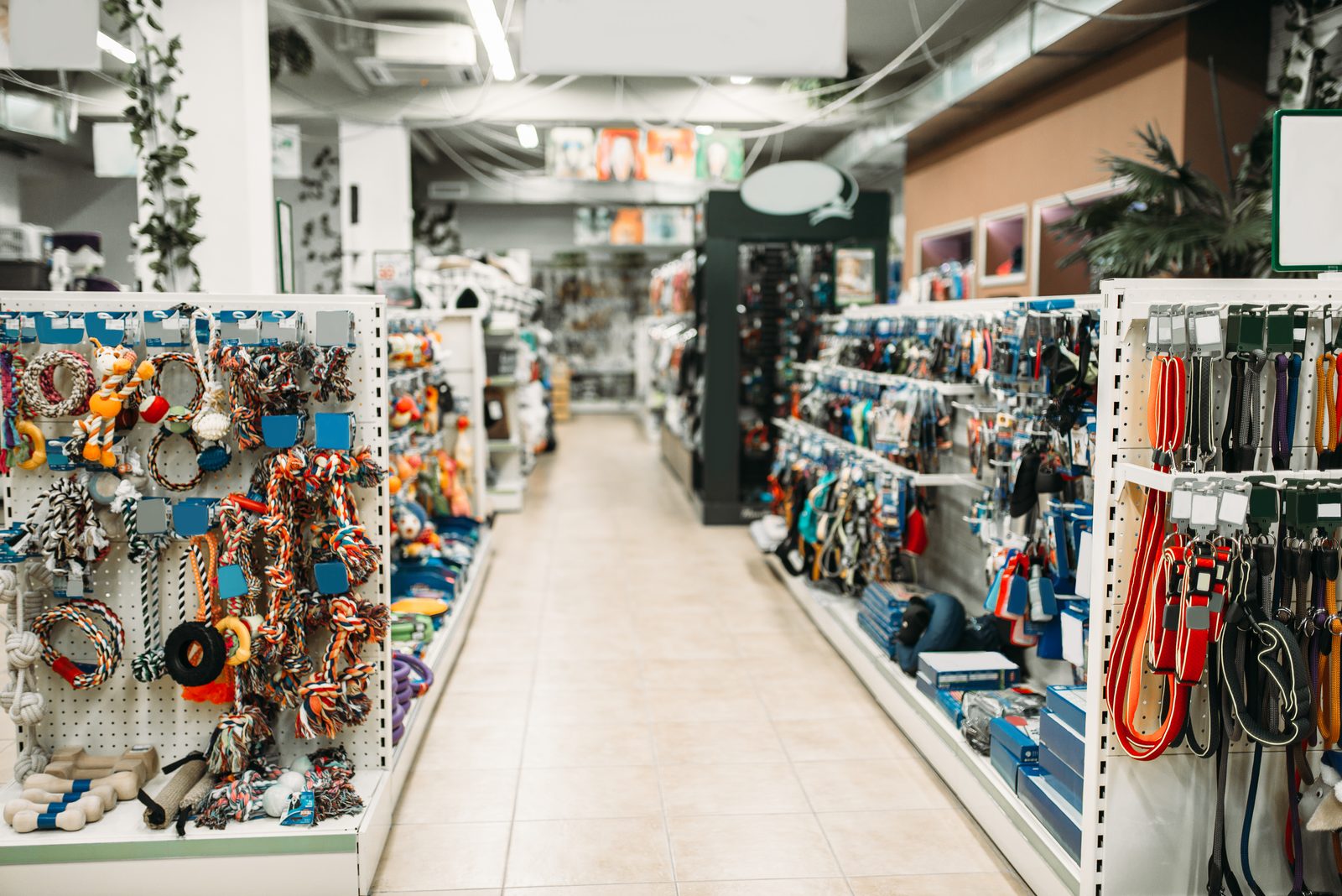 Empty pet supply store aisle lined with pegboard displays of leashes, rope toys and collars under bright overhead lights